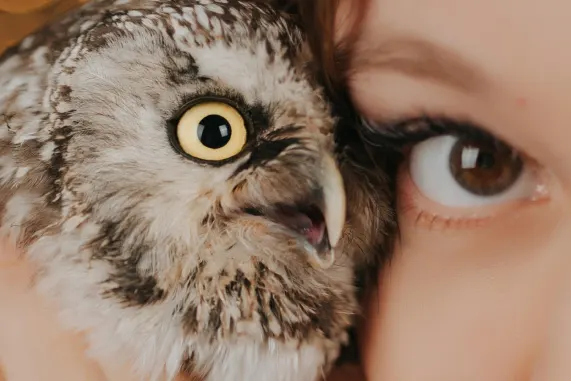 Tusk Casino Stuðningur